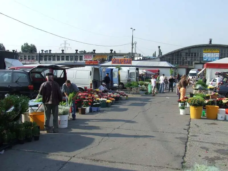 Plac giełdy przy ul. Balickiej w Krakowie w dzień, z kwiatami i roślinami w wiadrach przy samochodach