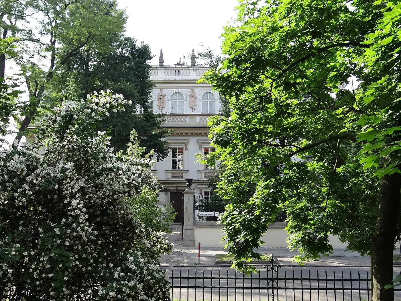 Collegium Śniadeckiego widziane przez zieleń i kwitnący bez